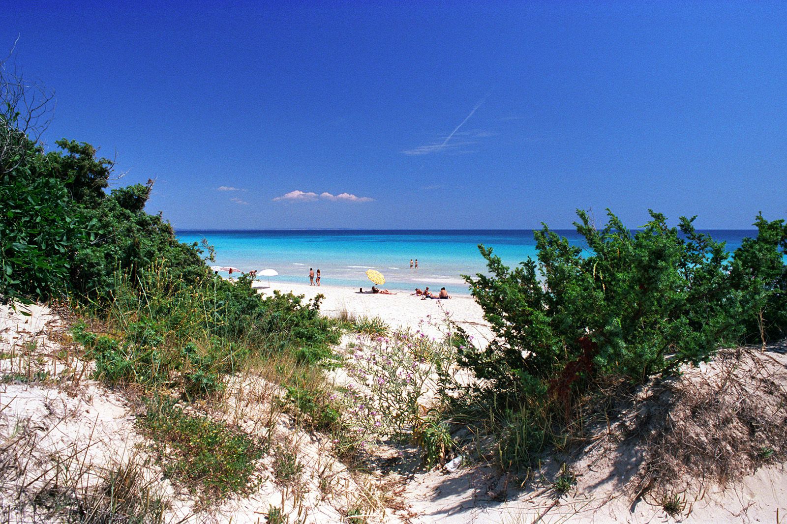 Caraibi nel Salento